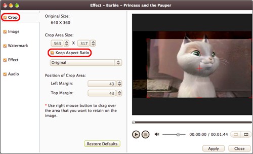 Crop the video size